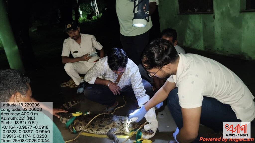 ବାଲିମେଳା-ଚିତ୍ରକୋଣ୍ଡା ଘାଟି ରାସ୍ତାରେ ୫ ଫୁଟ ଲମ୍ବର କୁମ୍ଭୀର ଉଦ୍ଧାର – ସମୀକ୍ଷା ଖବର