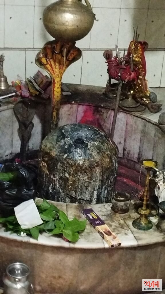 ଶ୍ରାବଣରେ କାଉଡ଼ିଆଙ୍କ ଭକ୍ତି ଓ ସଉକ – ସମୀକ୍ଷା ଖବର