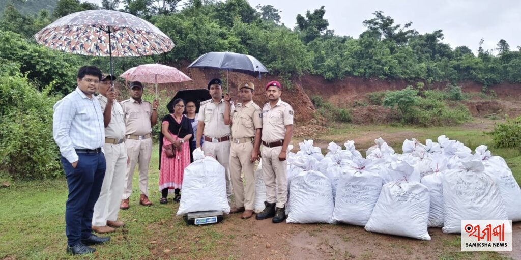 ମାଲକାନଗିରି:ଚୋରା ଚାଲାଣ ପାଇଁ ଗଚ୍ଛିତ ଥିବା ୧ ଟନ ୨୫ କେଜି ଗଞ୍ଜେଇ ଜବତ – ସମୀକ୍ଷା ଖବର