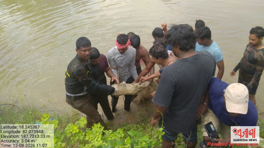 ଗାଁରେ ପୋଖରୀରୁ ଉଦ୍ଧାର ହେଲା ୪ ଫୁଟ ଲମ୍ବର କୁମ୍ଭୀର – ସମୀକ୍ଷା ଖବର