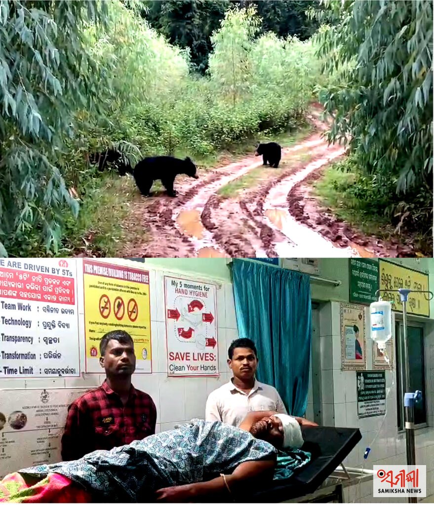 ବୋରିଗୁମ୍ମା: ଭାଲୁ ଆକ୍ରମଣ ରେ ଜଣେ ଗୁରୁତର – ସମୀକ୍ଷା ଖବର