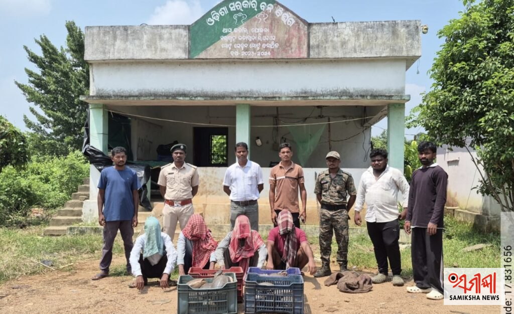 ମାଲକାନଗିରି:୫୫ଟି ଜୀବନ୍ତ କଇଁଚ ଜବତ,୪ ଚୋରାଚାଲାଣକାରୀ ଗିରଫ – ସମୀକ୍ଷା ଖବର