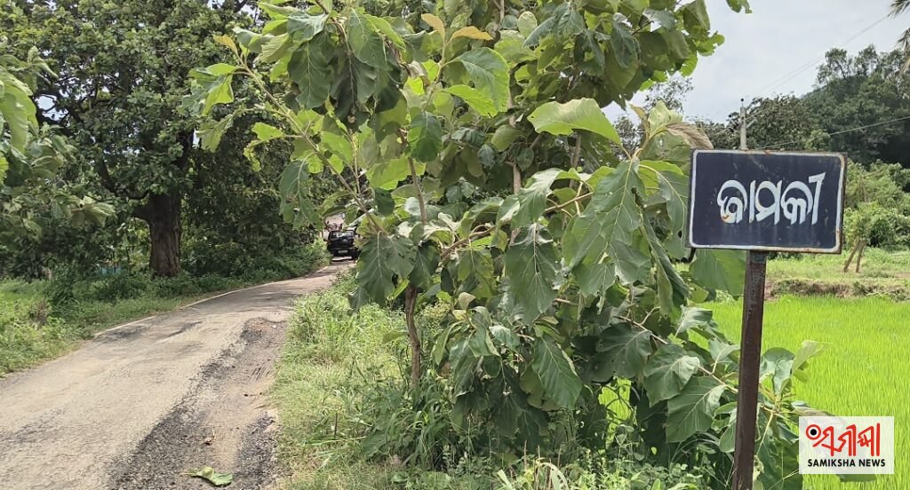 ପଣ୍ଡରେନ୍‌ରୁ ଜାମକି ଯିବା ରାସ୍ତା ଶୋଚନୀୟ – ସମୀକ୍ଷା ଖବର
