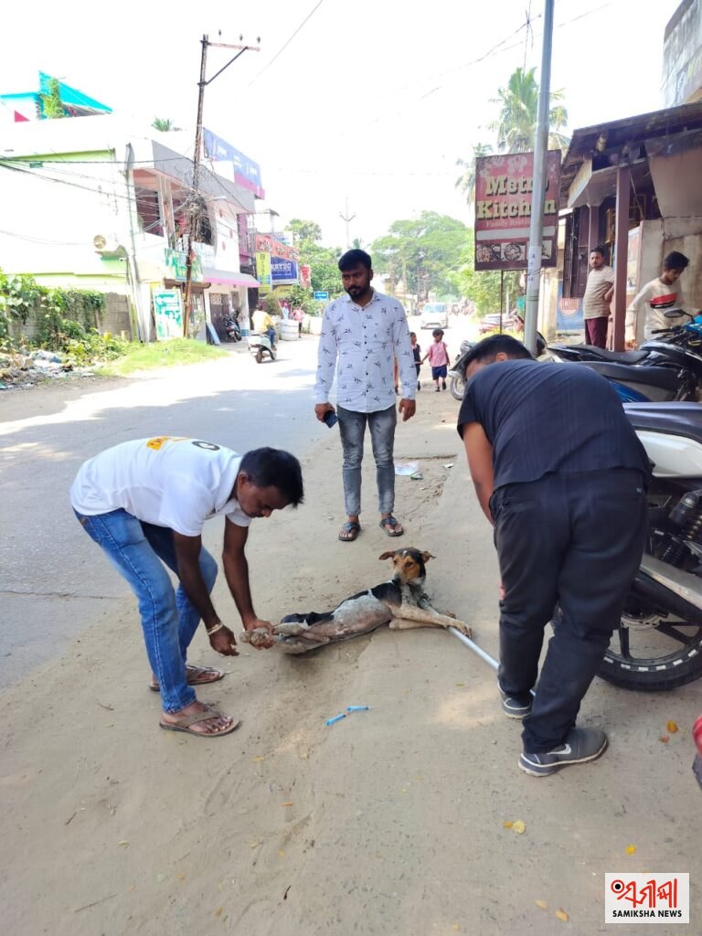 କାଲୁର ପାଟି ଫିଟେନି ;କଷ୍ଟ ଜାଣିଲା ମାନଵୀକତା – ସମୀକ୍ଷା ଖବର