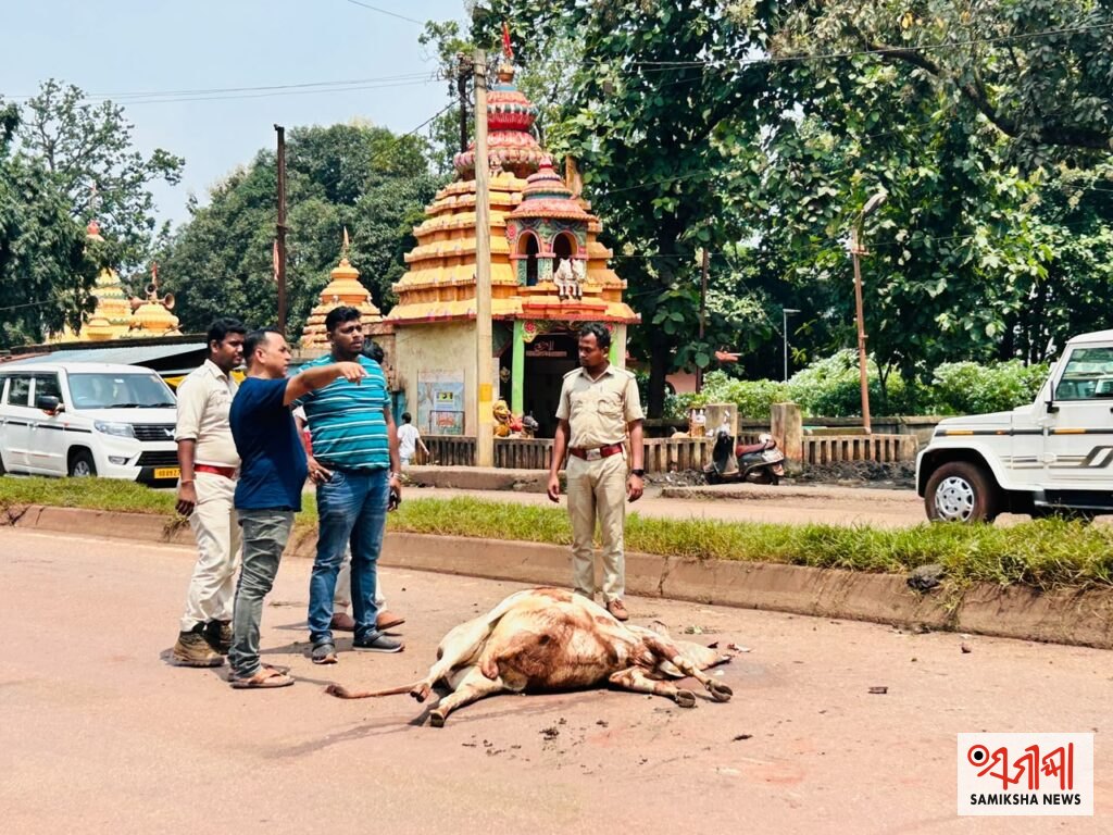 କେନ୍ଦୁଝର:ମୃତ ଗୋ ମାତା ଙ୍କୁ ଉଚିତ ସମ୍ମାନ ଦେଇ କଲେ ଶବ ସତ୍କାର । – ସମୀକ୍ଷା ଖବର