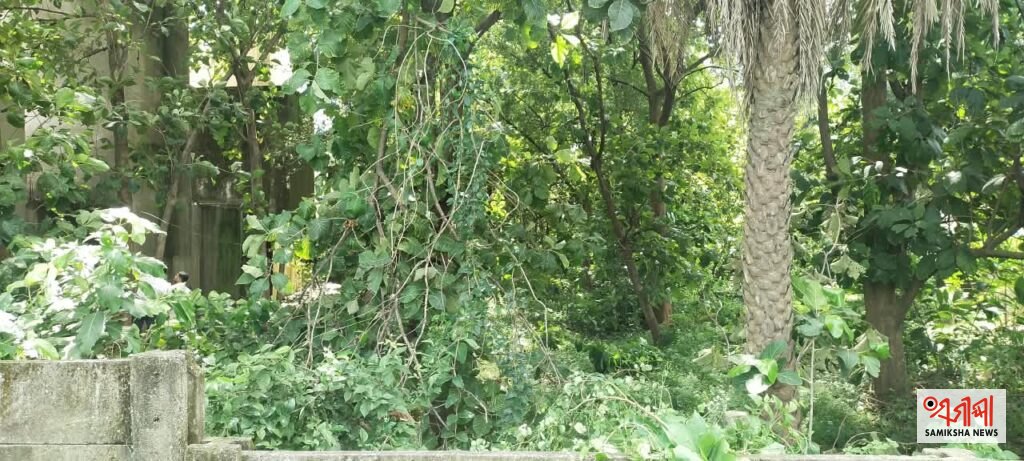 ରେଳବାଇ ଜମି ଦୁର୍ବୃତ୍ତଙ୍କ ସେଫ୍ କରିଡର: କ୍ଷତି ସହୁଛନ୍ତି ବ୍ୟବସାୟୀ; ରେଳ ବିଭାଗ ସାଜିଛି ନିଦାବିଷ୍ଣୁ – ସମୀକ୍ଷା ଖବର