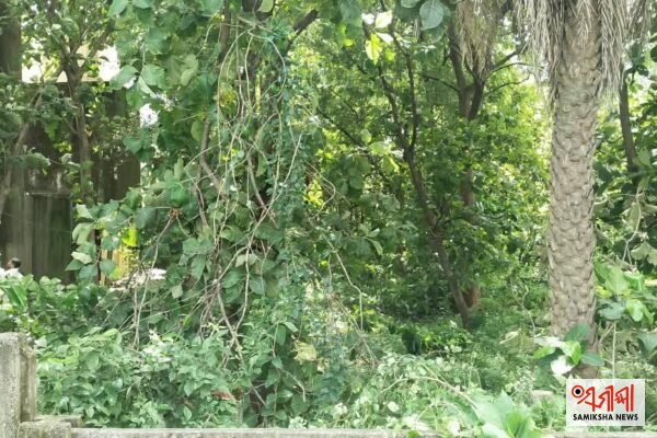 ରେଳବାଇ ଜମି ଦୁର୍ବୃତ୍ତଙ୍କ ସେଫ୍ କରିଡର: କ୍ଷତି ସହୁଛନ୍ତି ବ୍ୟବସାୟୀ; ରେଳ ବିଭାଗ ସାଜିଛି ନିଦାବିଷ୍ଣୁ – ସମୀକ୍ଷା ଖବର