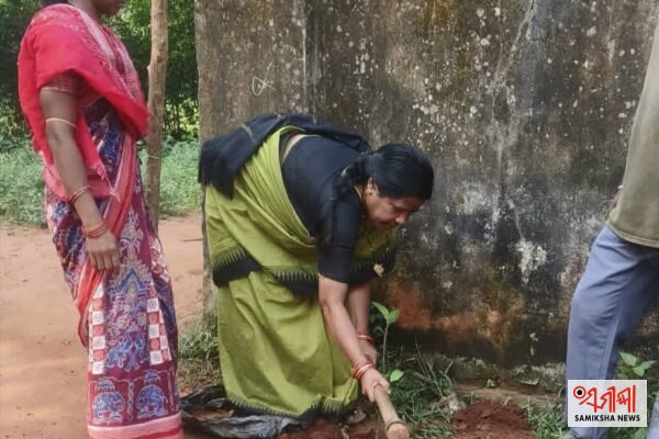 ସବୁଜ ପରିବେଶ ଗଠନ ସହ ପ୍ରକୃତି ସୁରକ୍ଷାର ମହତ୍ତ୍ୱ ବୁଝାଇଲେ ସେଵା, ଚାଙ୍ଗୁରୁବାଲି ବିଦ୍ୟାଳୟରେ ଲାଗିଲା ବିଭିନ୍ନ ପ୍ରକାର ଚାରା – ସମୀକ୍ଷା ଖବର
