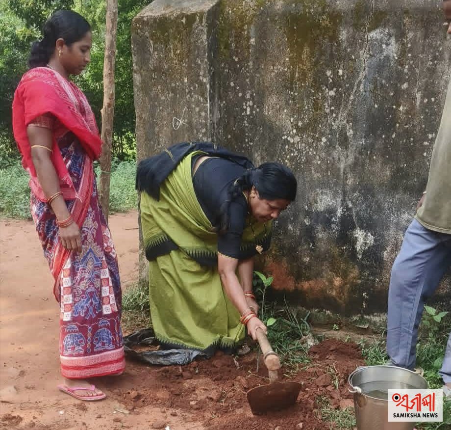 ସବୁଜ ପରିବେଶ ଗଠନ ସହ ପ୍ରକୃତି ସୁରକ୍ଷାର ମହତ୍ତ୍ୱ ବୁଝାଇଲେ ସେଵା, ଚାଙ୍ଗୁରୁବାଲି ବିଦ୍ୟାଳୟରେ ଲାଗିଲା ବିଭିନ୍ନ ପ୍ରକାର ଚାରା – ସମୀକ୍ଷା ଖବର