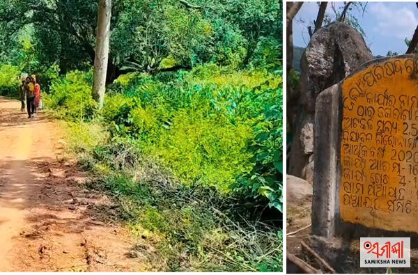 ସରକାର ଆମକୁ ଦେଇ ପାରୁନାହିଁ ରାସ୍ତା, ପାନୀୟଜଳ: ଡଙ୍ଗରିଗାଁ ବାସୀ – ସମୀକ୍ଷା ଖବର