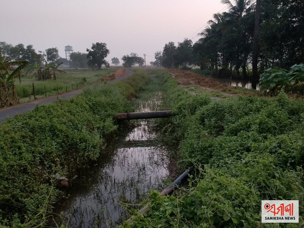 ବାଲିକୁଦା :ଶୋଭା ଆଣିଅଙ୍କ କେନାଲ ସ୍ଥିତି ଅତି ଦୟନୀୟ – ସମୀକ୍ଷା ଖବର