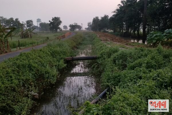 ବାଲିକୁଦା :ଶୋଭା ଆଣିଅଙ୍କ କେନାଲ ସ୍ଥିତି ଅତି ଦୟନୀୟ – ସମୀକ୍ଷା ଖବର