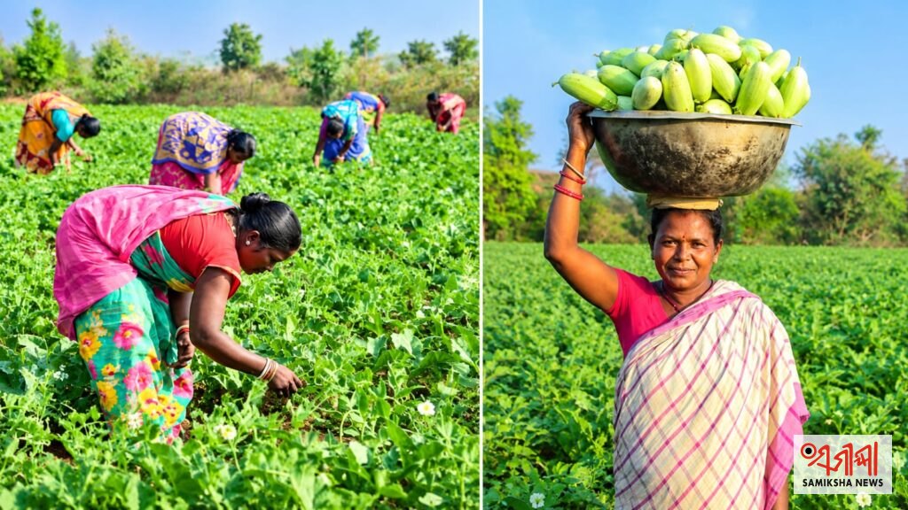 ଉପକୂଳ ଓଡ଼ିଶାର ନଦୀ ପଠାରେ ବଢୁଛି ପନୀପରିବା ଚାଷ, ଚାଷୀଙ୍କ ମୁହଁରେ ଫୁଟୁଛି ହସ – ସମୀକ୍ଷା ଖବର