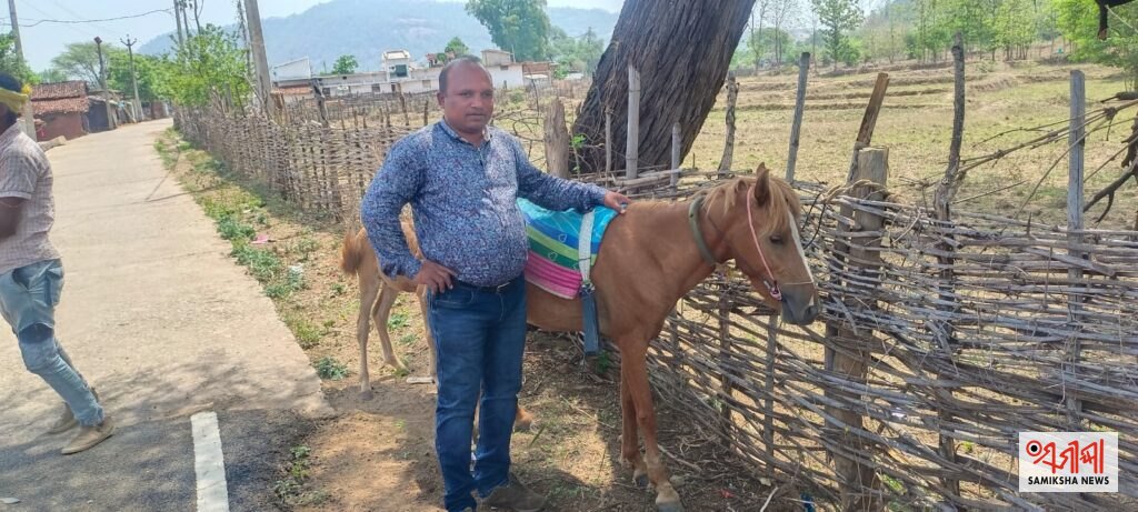 ଲୁପ୍ତ ହେବା ଦ୍ୱାରରେ ଓଡ଼ିଶାର ଦେଶୀ ଘୋଡ଼ା ୨୦୧୯ ପଶୁସମ୍ପଦ ଗଣନାରେ ରାଜ୍ୟରେ ମାତ୍ର ୧୧୬ ଘୋଡ଼ା ଓ ୨୭ ପୋନି – ସମୀକ୍ଷା ଖବର