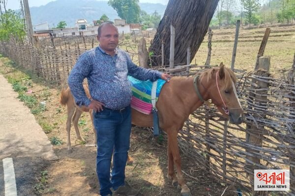 ଲୁପ୍ତ ହେବା ଦ୍ୱାରରେ ଓଡ଼ିଶାର ଦେଶୀ ଘୋଡ଼ା ୨୦୧୯ ପଶୁସମ୍ପଦ ଗଣନାରେ ରାଜ୍ୟରେ ମାତ୍ର ୧୧୬ ଘୋଡ଼ା ଓ ୨୭ ପୋନି – ସମୀକ୍ଷା ଖବର
