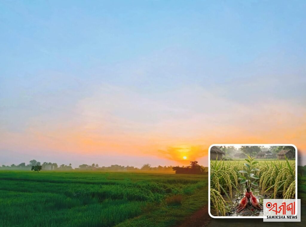 ମୟୂରଭଞ୍ଜ ଗର୍ଭଣା ସଂକ୍ରାନ୍ତି – ସମୀକ୍ଷା ଖବର