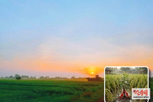 ମୟୂରଭଞ୍ଜ ଗର୍ଭଣା ସଂକ୍ରାନ୍ତି – ସମୀକ୍ଷା ଖବର
