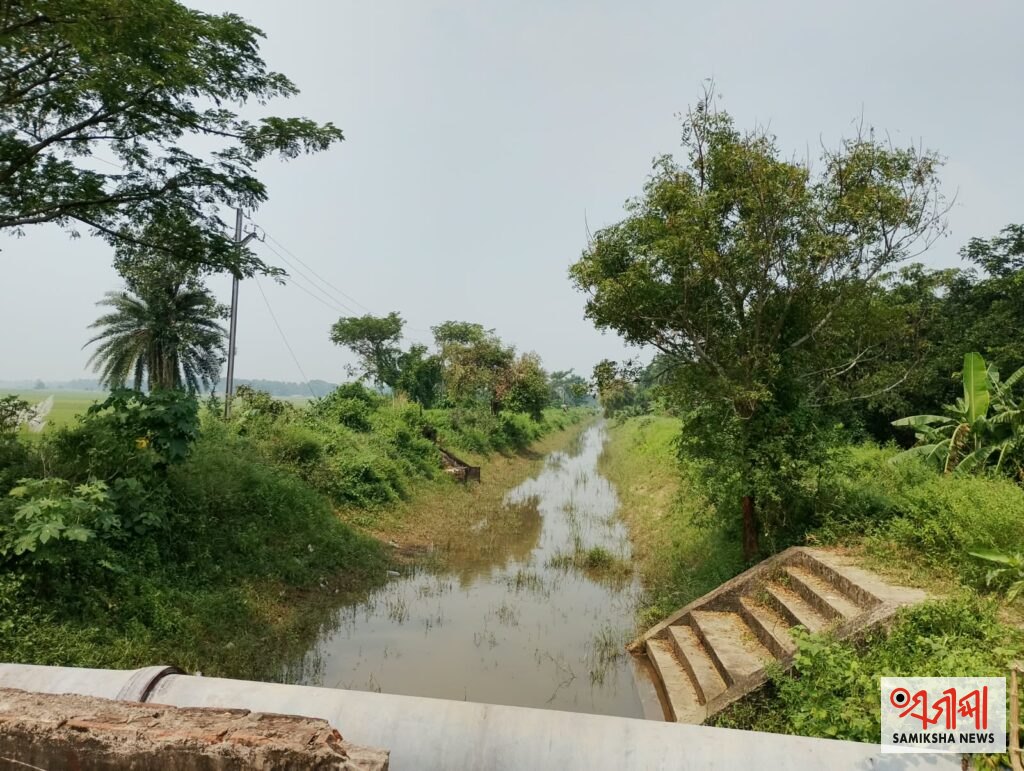 ବାଲିକୁଦା : ବୋରିକିନା ନାଳା ପାଣି ରୁଗ୍ଣ ଅବସ୍ଥା – ସମୀକ୍ଷା ଖବର