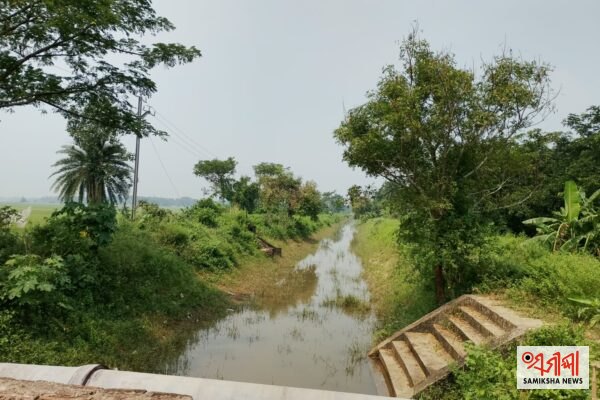 ବାଲିକୁଦା : ବୋରିକିନା ନାଳା ପାଣି ରୁଗ୍ଣ ଅବସ୍ଥା – ସମୀକ୍ଷା ଖବର