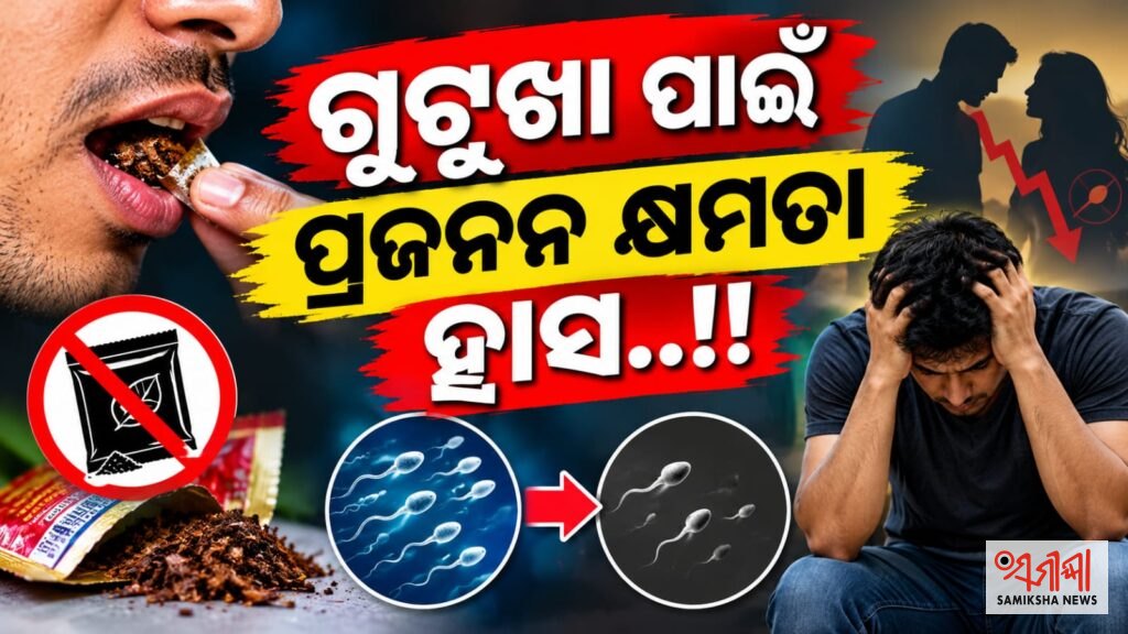 ଅତ୍ୟାଧିକ ଗୁଟୁଖା ସେବନ ଦ୍ୱାରା ହ୍ରାସ ହୋଇପାରେ ପ୍ରଜନନ କ୍ଷମତା..!! – ସମୀକ୍ଷା ଖବର