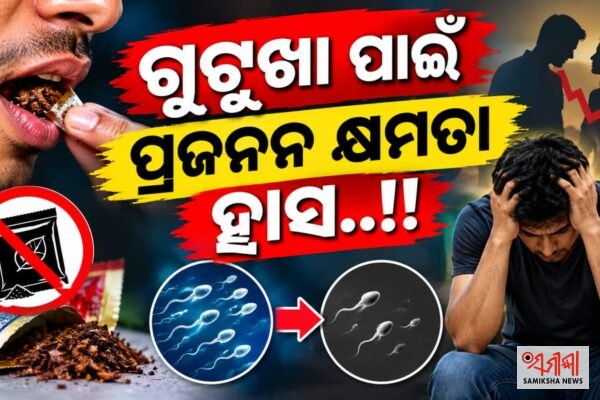 ଅତ୍ୟାଧିକ ଗୁଟୁଖା ସେବନ ଦ୍ୱାରା ହ୍ରାସ ହୋଇପାରେ ପ୍ରଜନନ କ୍ଷମତା..!! – ସମୀକ୍ଷା ଖବର