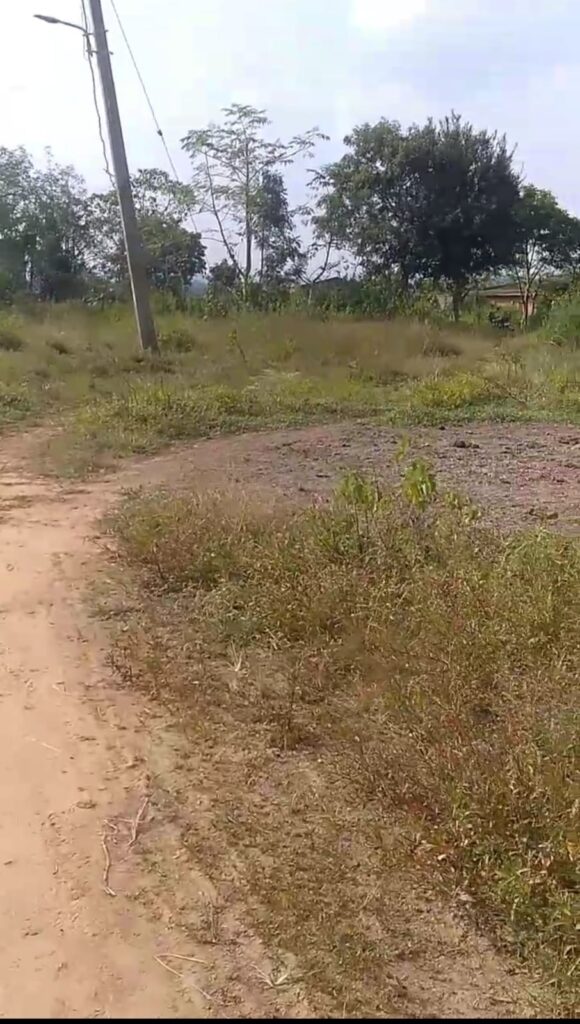 ଚମ୍ପୁଆ ଏନ୍‌ଏସିରୁ ଅବହେଳାର ଚିତ୍ର: ରାସ୍ତା ନଥିବାରୁ ଖଟରେ ବୋହା ହେଉଛନ୍ତି ରୋଗୀ, ଭୋଟ୍‌ ବର୍ଜନ ଚେତାବନୀ – ସମୀକ୍ଷା